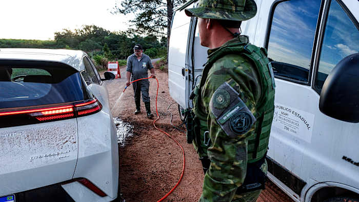 Mexico, Chile and Uruguay halt poultry imports from Brazil after bird flu outbreak